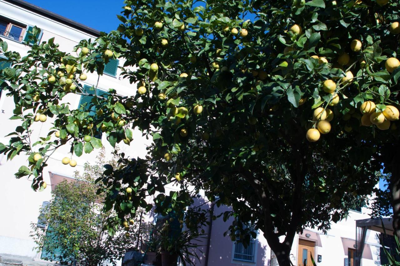 Appartamento Cielo&Terra2 Levanto Zewnętrze zdjęcie